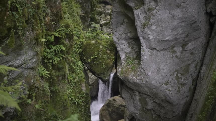 A tranquil waterfall cascades through a narrow, moss-covered rock canyon, surrounded by lush green ferns