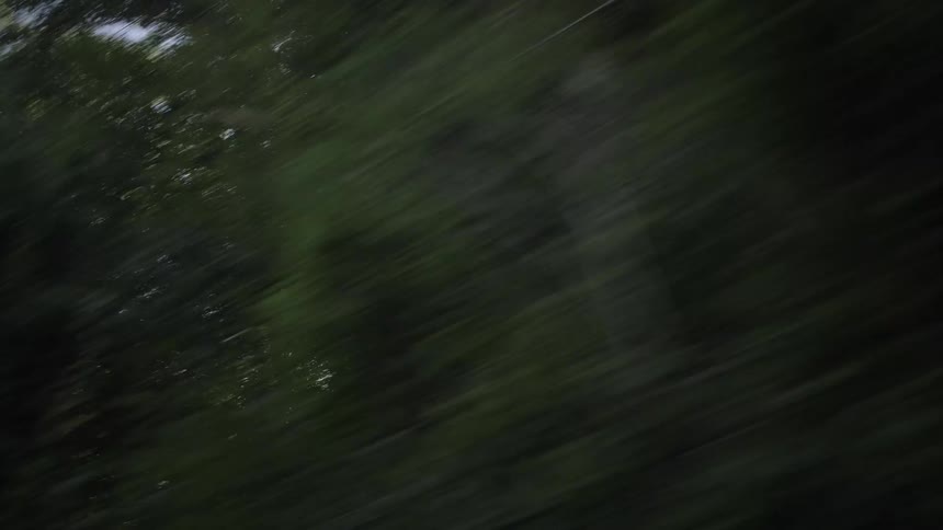 An abstract, high-speed journey through a forest, looking up at the blurred green canopy and the sun