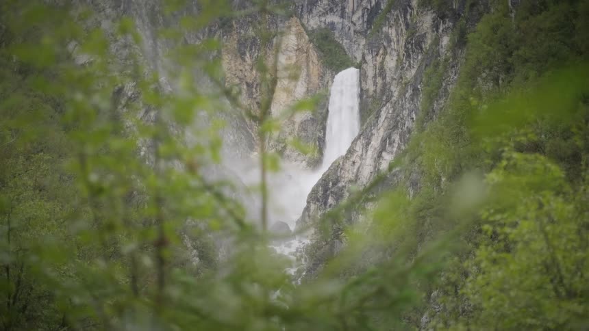 A rack focus from lush green foliage reveals a powerful hidden waterfall cascading down a sheer rock cliff in a dense forest