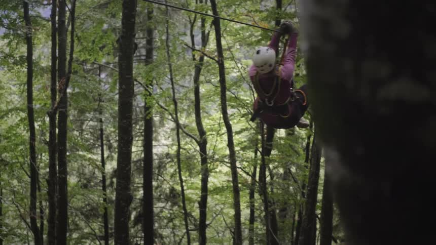 Slow motion side view of an adventurous person ziplining through a dense green forest