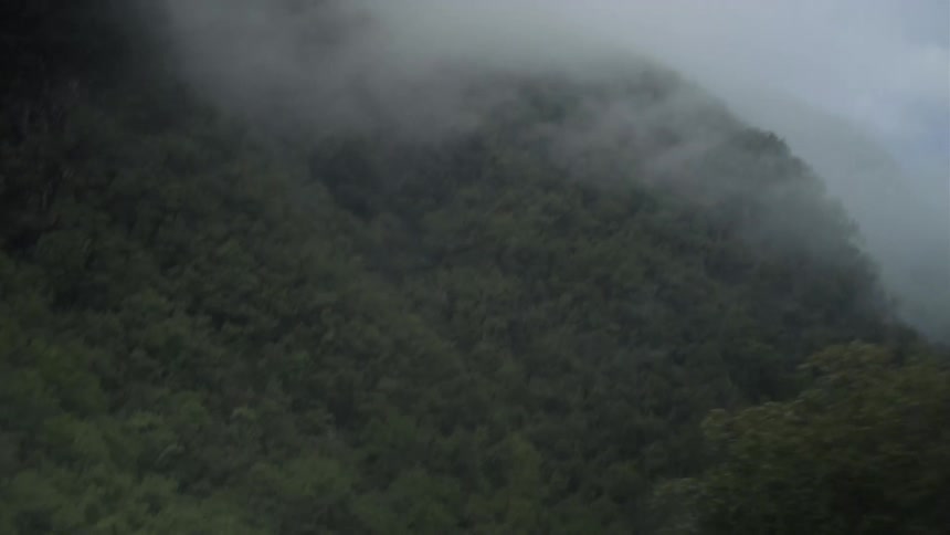 A fast-paced point-of-view journey through a misty mountain pass covered in a dense, green forest