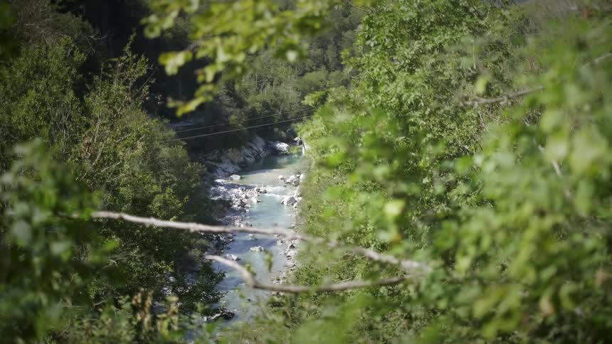 A high-angle view peeking through lush green leaves at a turquoise river flowing through a dense forest valley
