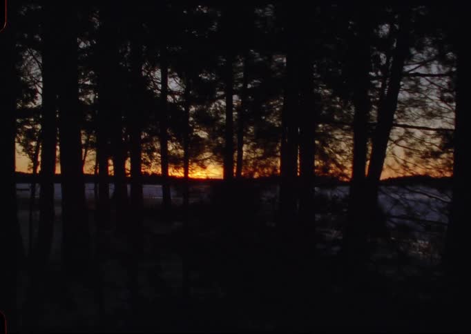 Slow pan of a golden sunset seen through silhouetted trees over a frozen winter lake