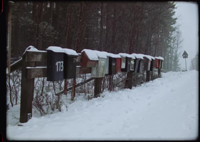A row of snow-covered mailboxes stands on a rural road next to a forest on a cold winter day