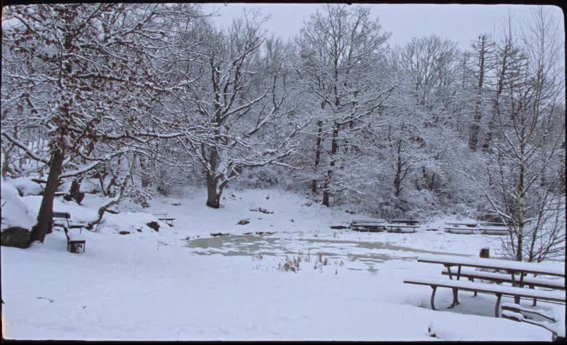 A quiet, snow-covered picnic area in a park with a frozen pond and empty benches during winter