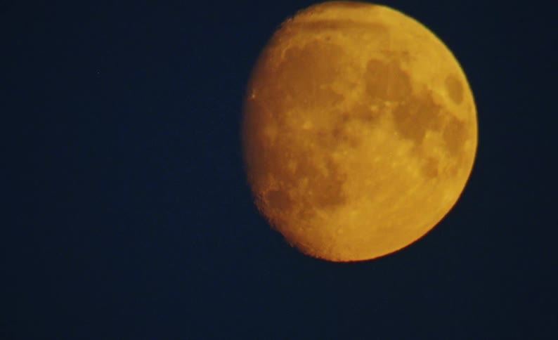 A close-up shot captures the detailed, cratered surface of a large, orange-tinted gibbous moon against the dark blue night sky