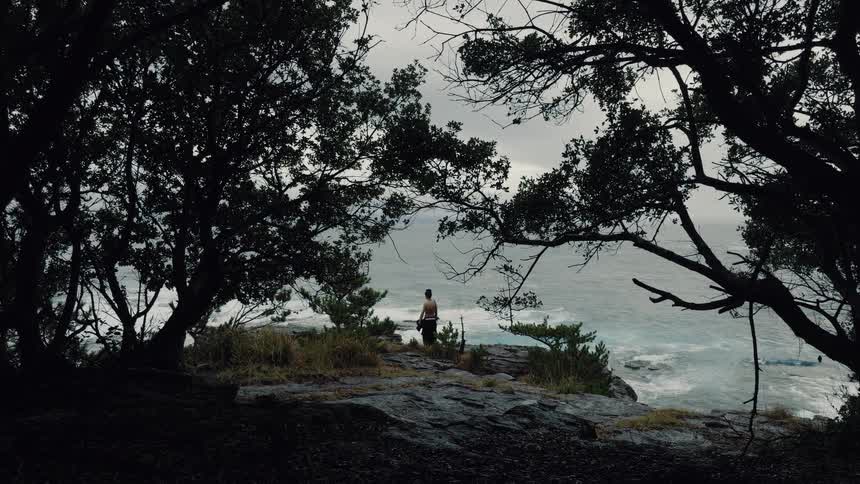 From a dark, wooded vantage point, a solitary figure watches the turbulent sea from a cliff on an overcast day