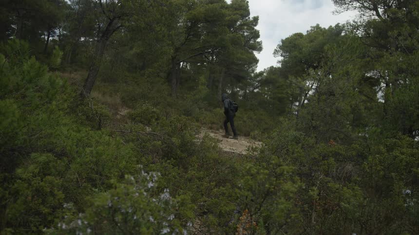 A distant shot shows a hooded hiker with a backpack trekking up a steep trail through a lush, green forest on an overcast day