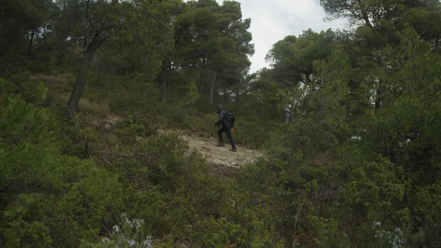 A person in dark clothing and a backpack hikes up a steep, dirt path surrounded by dense green trees