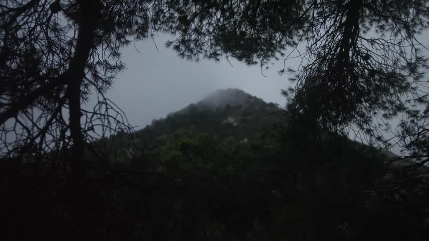 A foggy mountain peak is framed by the dark silhouettes of trees on a gloomy, overcast day