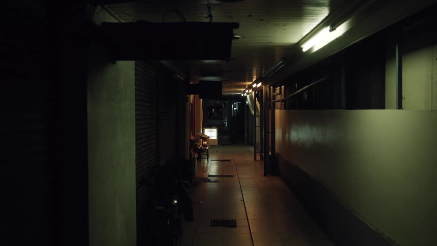 A static shot of a dark and eerie hallway at night, with dim fluorescent lights creating a suspenseful and mysterious atmosphere
