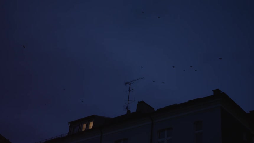 A flock of birds flies across the deep blue twilight sky over a silhouetted building with a single lit attic window