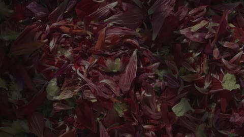 Piles of flower petals sit undisturbed