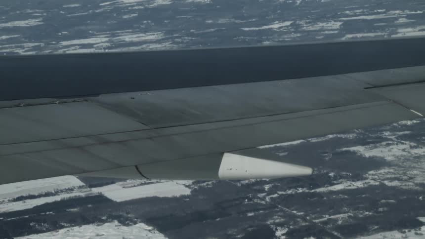 A plane glides high in the air