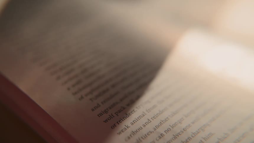 A person slowly turns the page of a book about wolves in a macro, warmly-lit shot