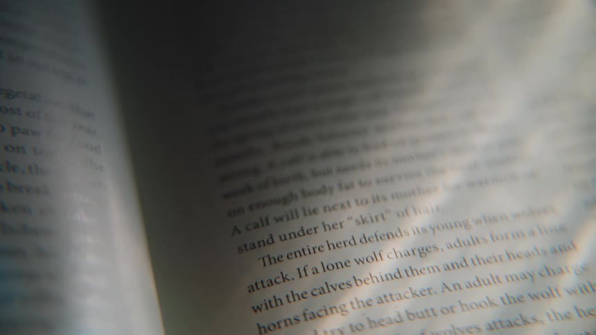 A macro shot of a light beam moving across the pages of an open book, highlighting text about wildlife