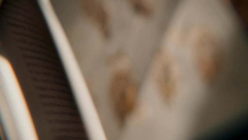 A close-up, slow-motion shot shows pages flipping through an animal encyclopedia, revealing colorful illustrations of butterflies, fish, and birds