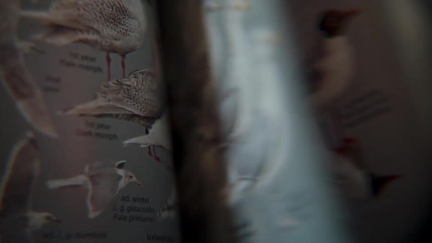 A macro close-up shot shows pages of an illustrated animal encyclopedia being flipped through rapidly