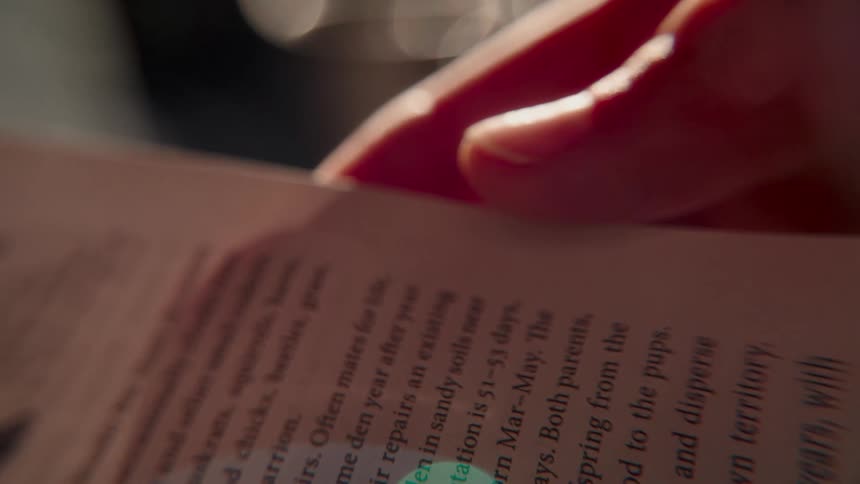 An intimate macro shot of a hand tracing the words in a book, softly blurring out of focus in the warm light