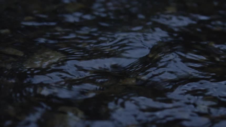 A close-up, slow-motion shot of a dark stream gently flowing over rocks at dusk
