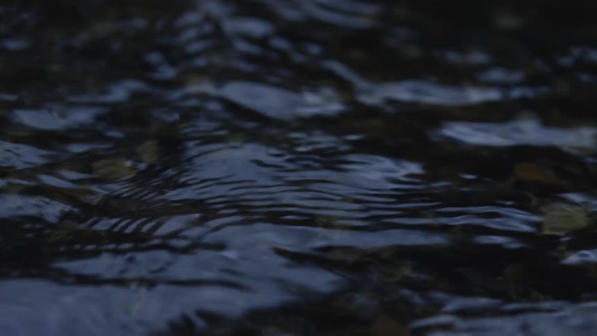 A tranquil close-up of dark, gentle water flowing over rocks in a shallow stream at dusk