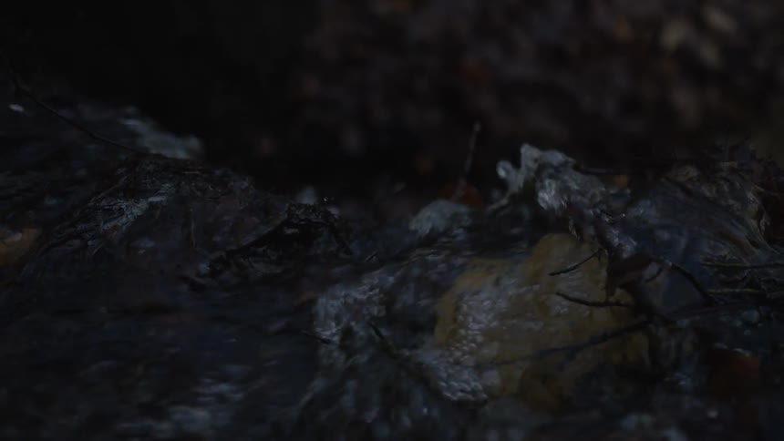 A dark and mysterious forest stream flows in slow motion over fallen autumn leaves and rocks
