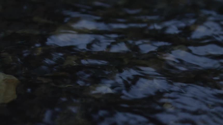 A close-up shot of dark, rippling water flowing slowly over rocks in a shallow stream at dusk