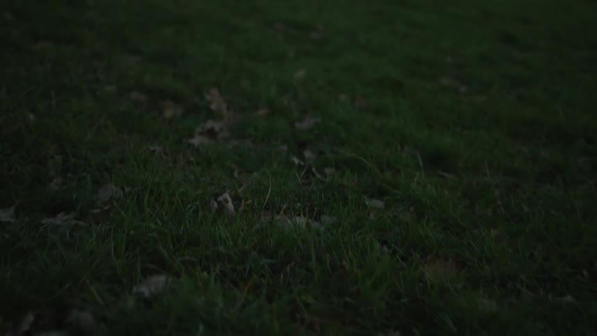 A slow tilt and focus pull from dark green grass on a hillside reveals a beautiful, out-of-focus valley at sunset