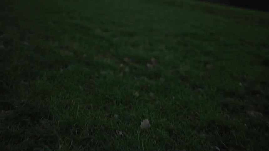 A slow camera tilt up from a close-up of a dark grassy hillside to reveal a blurry, scenic valley and a beautiful twilight sky