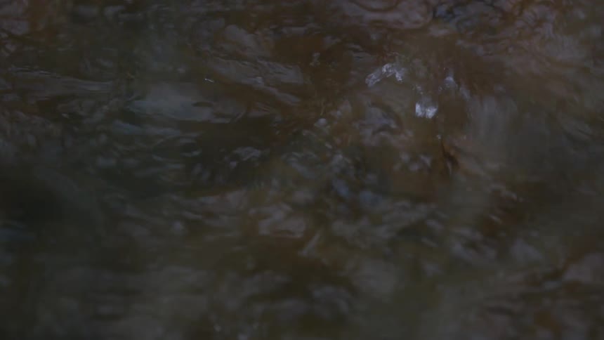 A close-up, slow-motion pan of dark, murky water flowing in a stream