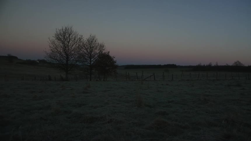 A tranquil view of a frosty countryside field with silhouetted trees at twilight