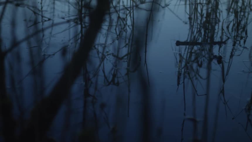 A slow pan across a dark, still body of water at dusk, with the reflections of bare branches creating a mysterious atmosphere
