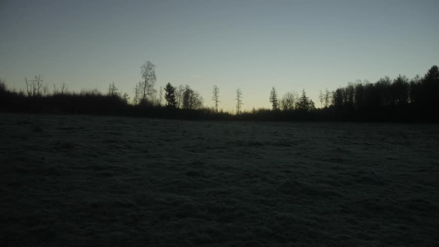 A serene, wide shot of a frosty meadow at dawn with silhouetted trees against the clear sky
