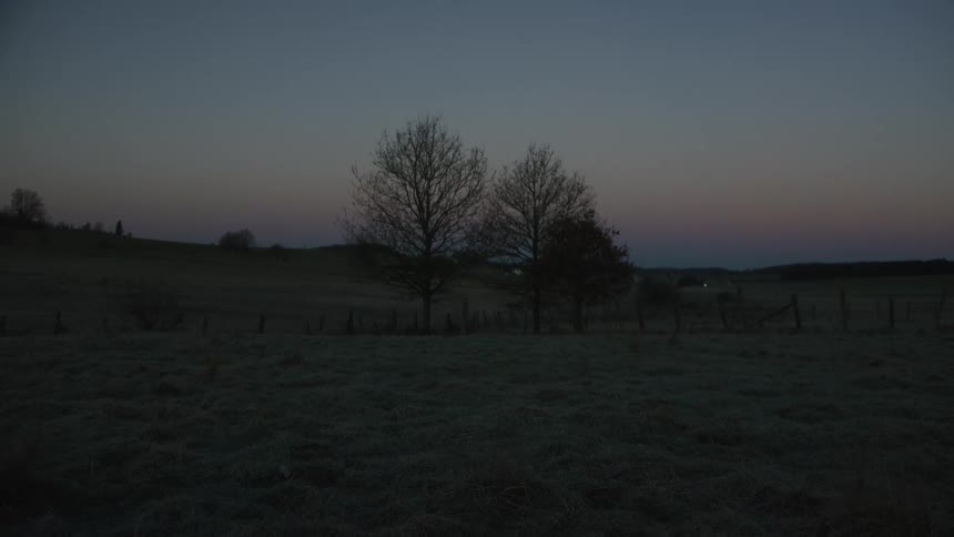 Bare trees stand silhouetted against the tranquil blue and pink sky over a frosty field at dawn