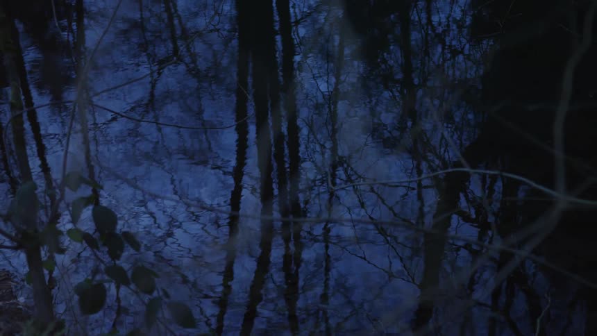 The dark silhouettes of bare trees are reflected in the deep blue, rippling water of a stream at night