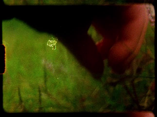 A dreamy, grainy vintage film captures a close-up of a hand picking a ripe cloudberry from a green meadow