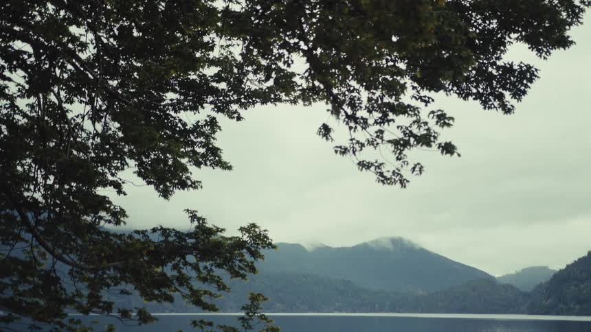 A slow reveal of a serene mountain lake on a cloudy day, framed by gentle swaying tree branches