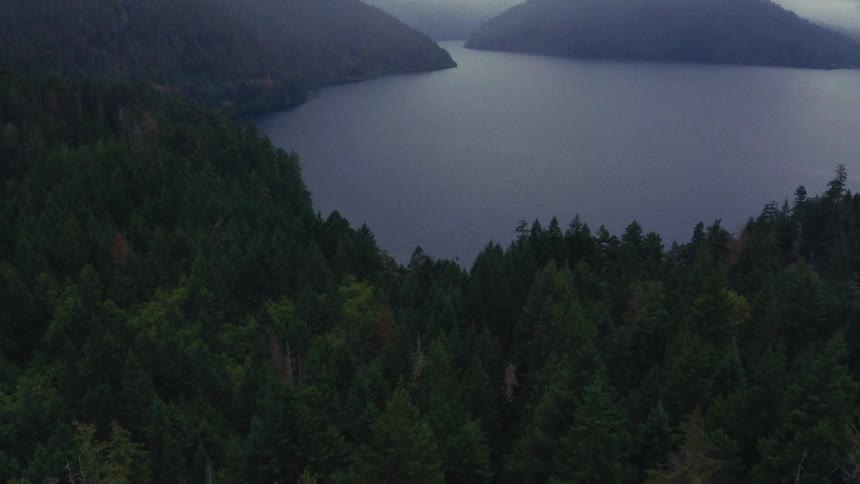 Moody aerial shot rises above a dense evergreen forest to reveal a vast, tranquil lake nestled between foggy mountains