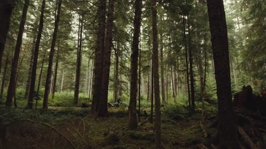A slow tilt down from the canopy of tall trees reveals a group of friends mountain biking on a trail through a lush, green forest