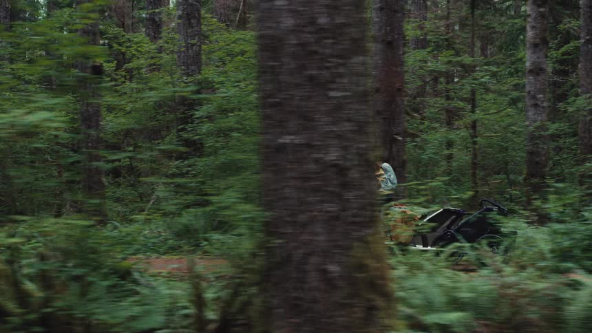 A side-view tracking shot follows a couple as they ride their bikes, loaded with gear, through a lush green forest