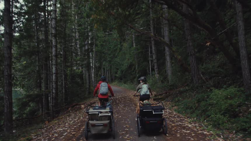 A tracking shot follows two cyclists from behind as they ride with cargo trailers on a beautiful wooded path in autumn