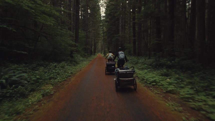 A low-angle tracking shot follows two cyclists on a bike packing adventure down a path through a dense evergreen forest