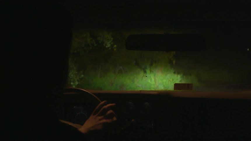 Person driving a truck down a country road at night