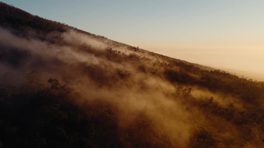 A serene aerial view shows golden morning light illuminating mist as it drifts over a lush, forested mountainside