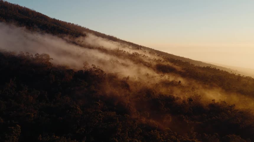 A serene static aerial shot shows fog settling over a dense forest on a mountainside during a golden sunrise