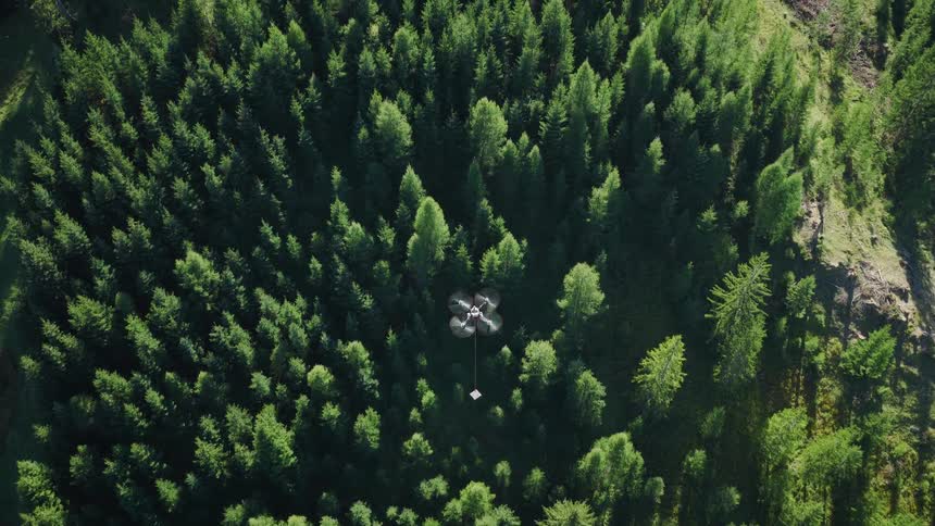 An aerial top-down view of a delivery drone carrying a package as it flies over a dense, green forest