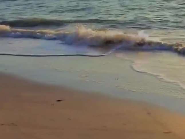 A tranquil, slow-motion close-up captures the gentle ebb and flow of ocean waves on a sandy beach during the golden hour