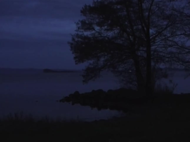 A serene and moody view of a silhouetted tree by a calm lake at dusk