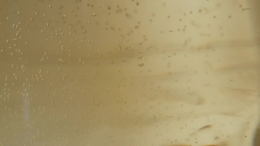 An abstract macro shot shows tiny golden bubbles rising inside a glass of champagne