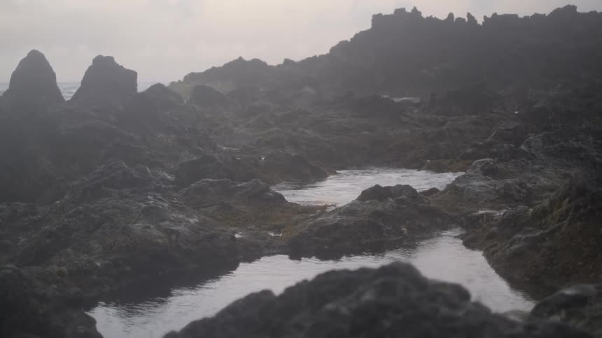 Gentle rain falls on still tide pools among jagged volcanic rocks on a foggy, overcast morning